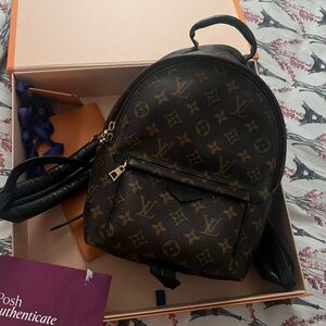 Louis Vuitton Palm spring Pm Brown Monogram Backpack! In amazing condition!